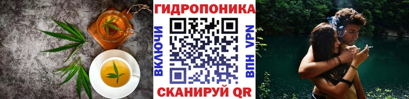 Canna-Cookies марихуана  закладки  Чебаркуль 