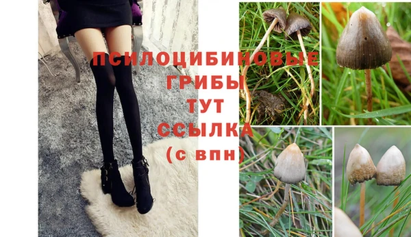 МДПВ Алексин