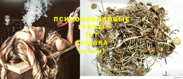 МДПВ Алексин