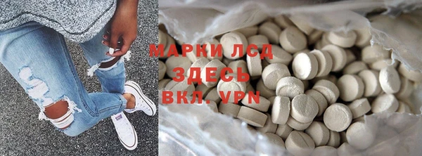 прущие грибы Алзамай
