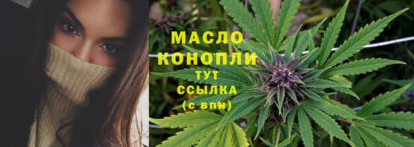 прущие грибы Алзамай
